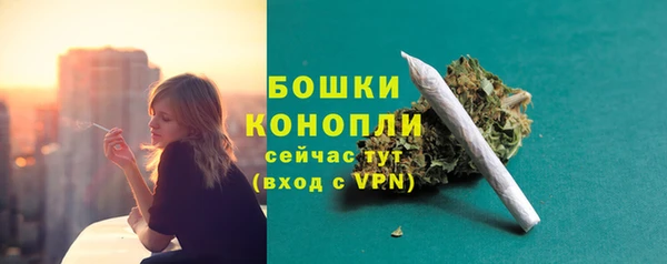 mix Белокуриха