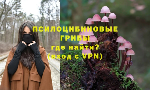mix Белокуриха