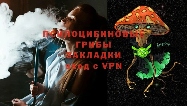 2c-b Новозыбков
