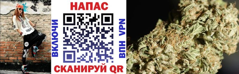 Шишки марихуана конопля  blacksprut рабочий сайт  Котово 